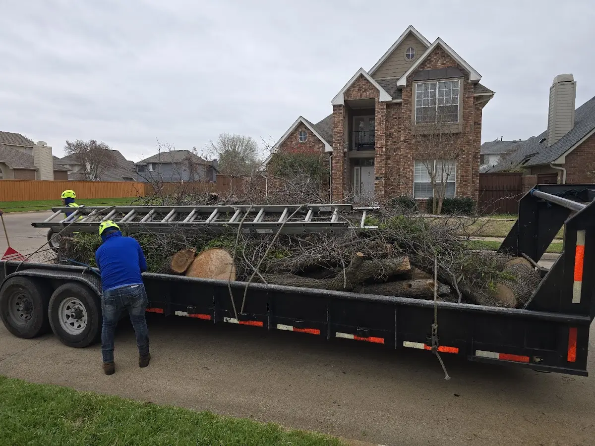 Expert Tree Fertilization with proper safety equipment in Spencerville